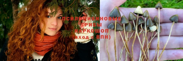 apvp Верея