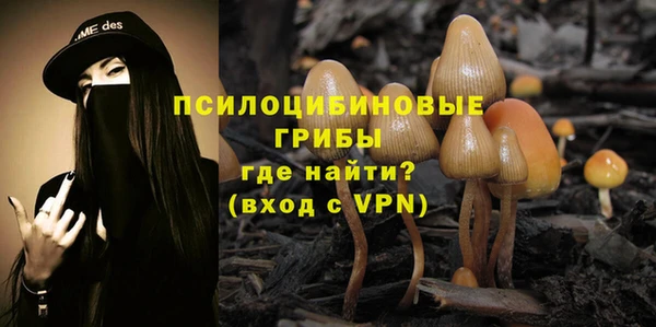 мяу мяу мука Верхнеуральск