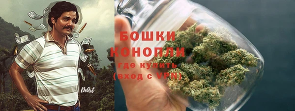apvp Верея